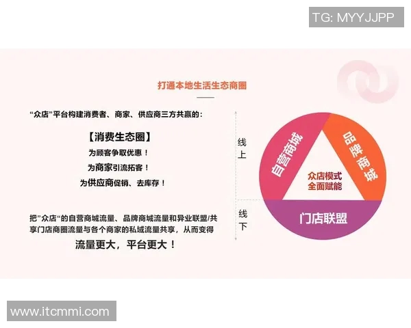 深圳足球队运营模式深度解析与未来发展展望