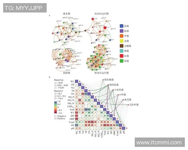 上海足球队在选拔赛中的速度优势分析与表现点评