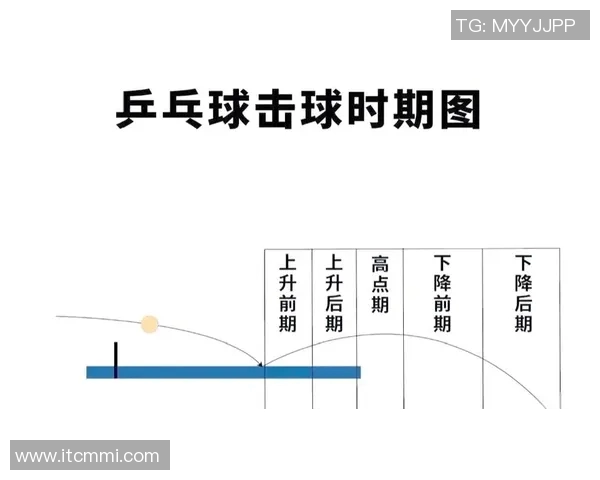 乒乓球深度解析：揭秘上海乒乓球队的战术控制与训练秘诀